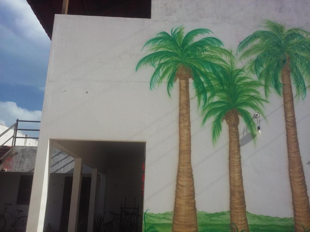 Subindo As Dunas Chales Canoa Quebrada Eksteriør billede